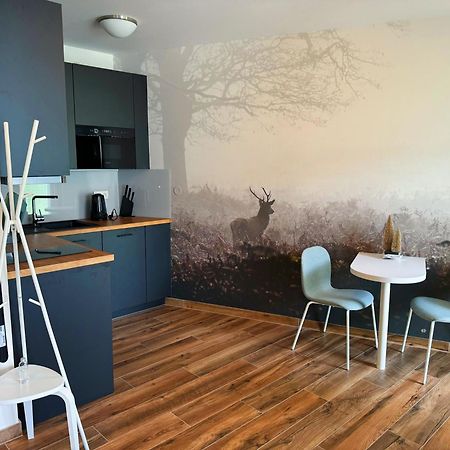 Horsky Apartman Klinovecke Louky 120-4 Loučná pod Klínovcem Extérieur photo